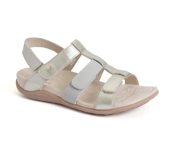 STRIVE CASSIS Ladies Sandal - Black & Gold